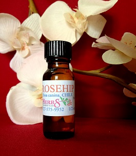 Rose Hips Carrier Oil 1/2 ounce (Rosa canina)